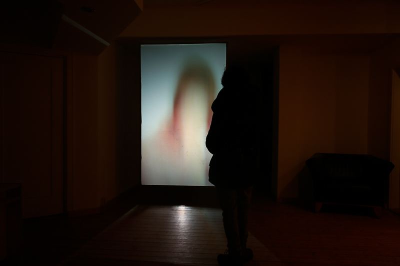 Shedding — viewer silhouetted against projection