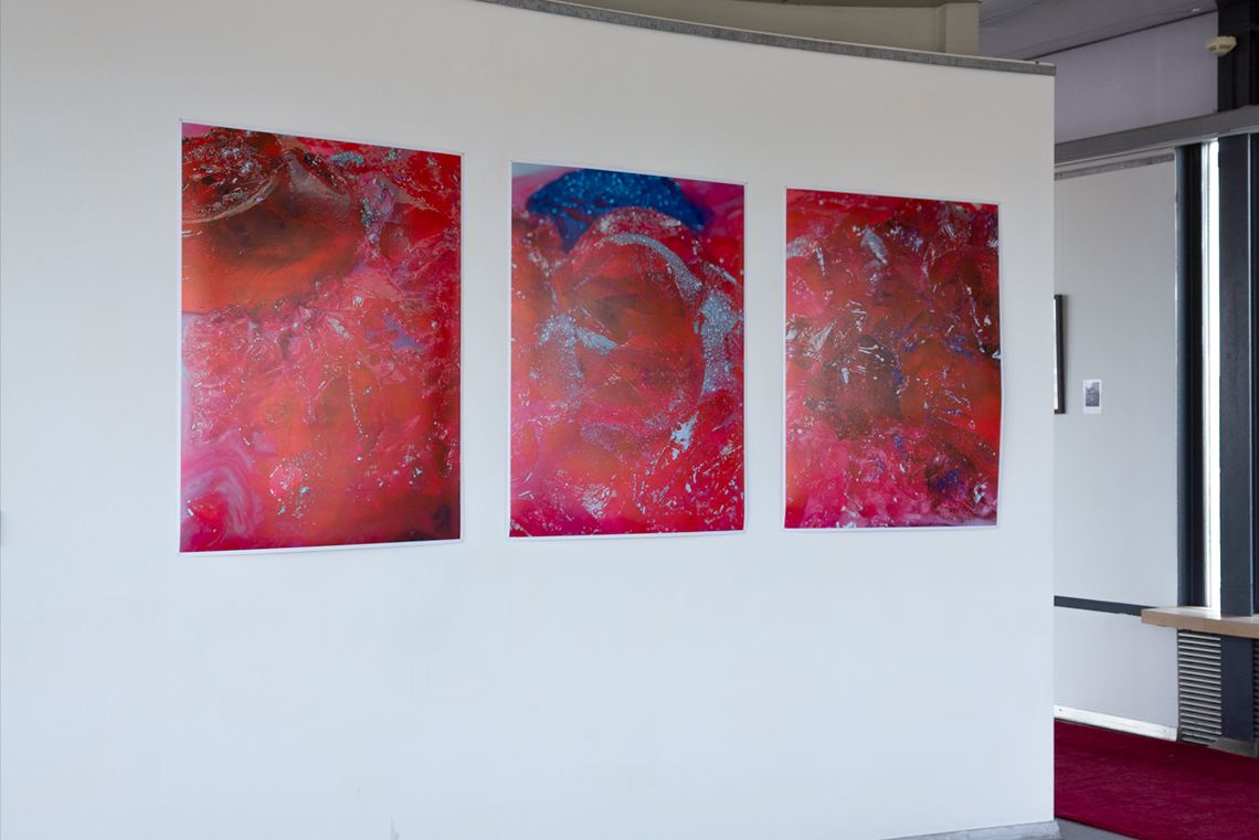 Forbidden Colours — Installation view