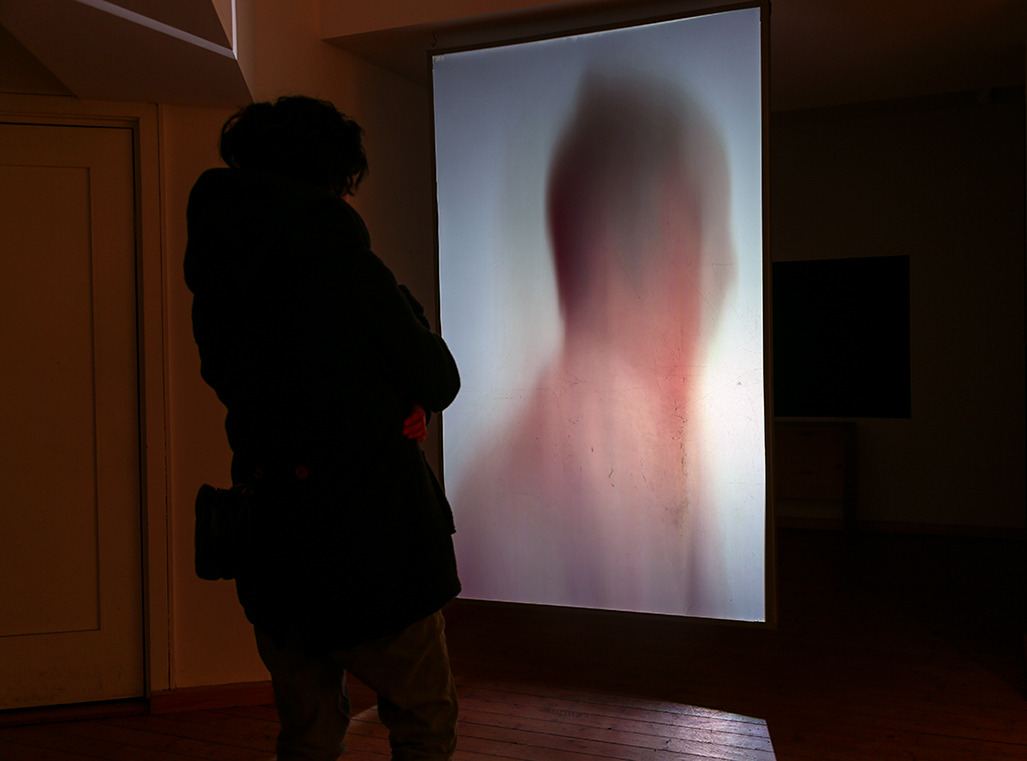 Shedding — installation view